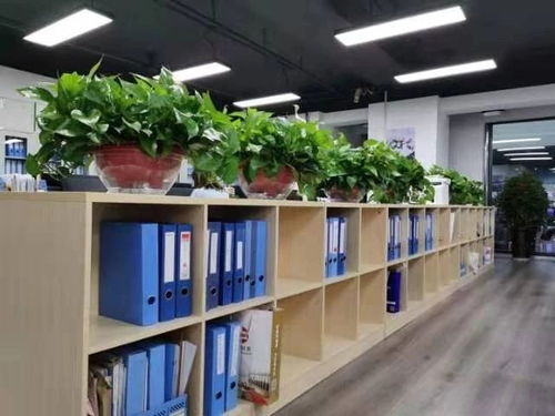 西安咸陽(yáng)及周邊地區(qū)公司注冊(cè)與專業(yè)服務(wù)全解析 從工商注冊(cè)到代理記賬、審計(jì)、食品勞務(wù)派遣